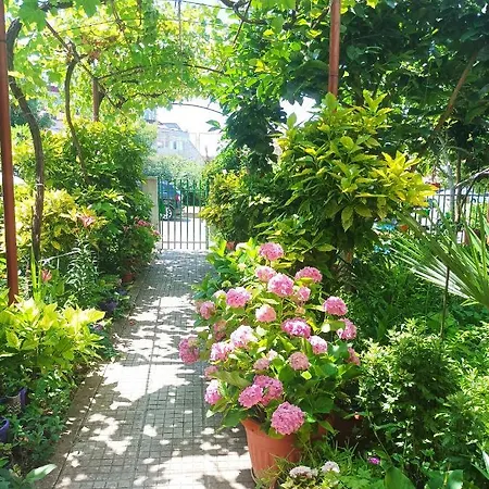 Kiki - Family Primorszko