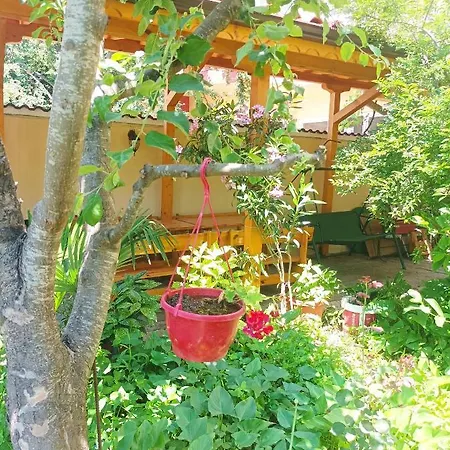 Kiki - Family Primorszko