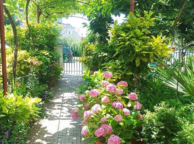 Kiki - Family Primorsko