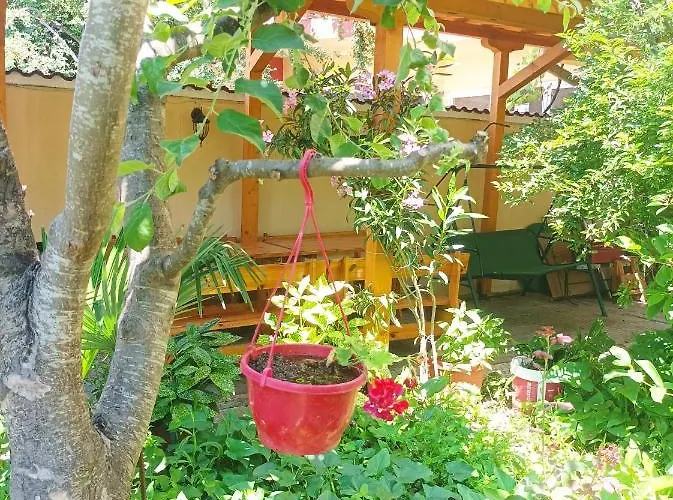 Kiki - Family Primorszko